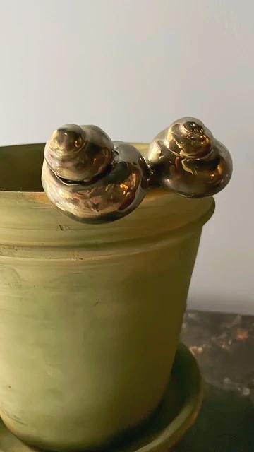 Green pot with silver decorative elements on a plain background