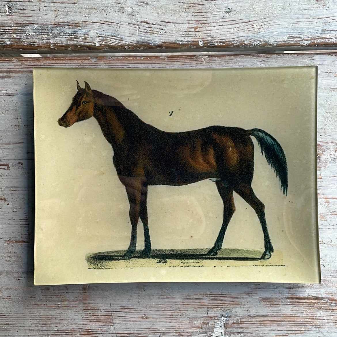 Horse #1 - John Derian Company