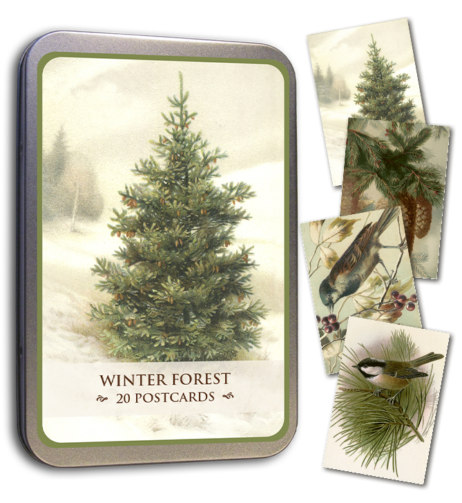 Winter Forest Tin of Postcards | Skona Ting