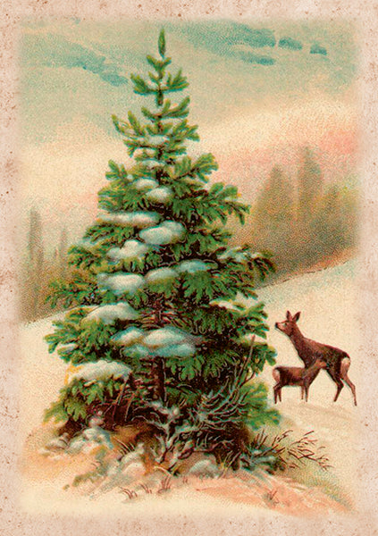 Forest Folded Card with Envelope | Skona Ting