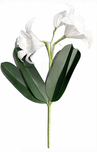 Lily - White | The Green Vase