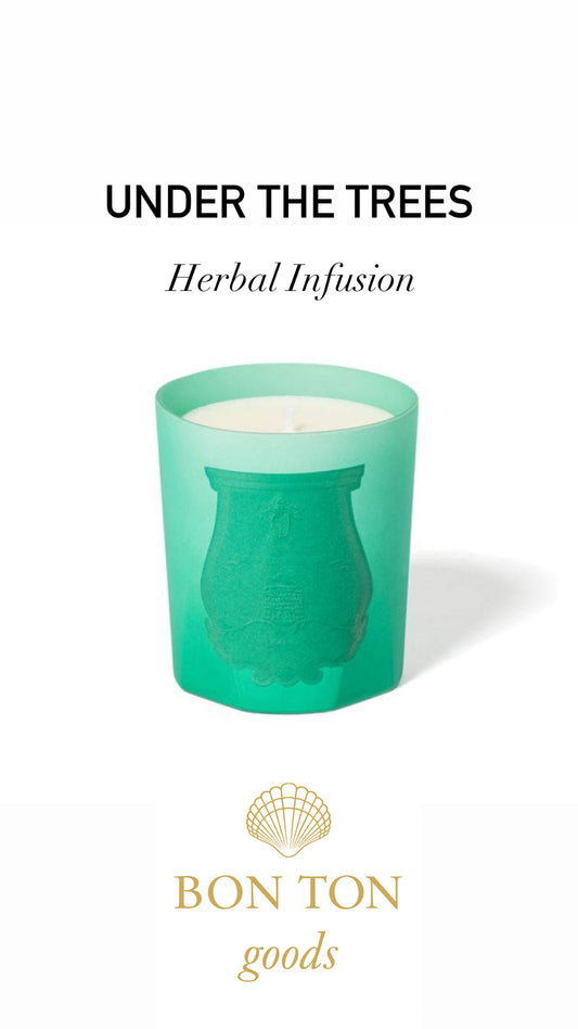 Under the Trees | Trudon