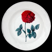 John Derian Hundred Leaved Rose Soup Plate, set of 6 by Astier de Villatte, B2B view on black background