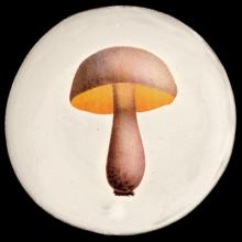 John Derian Medium Bolet Blanchatre Plate, set of 6 by Astier de Villatte, B2B view on black background