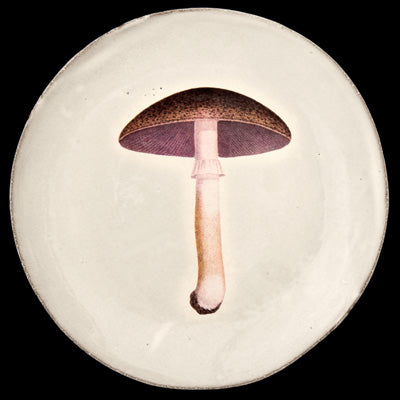 Medium Mauve Champignon Comestible Plate, John Derian - Astier de Villatte: Exclusive Pre-Order Item