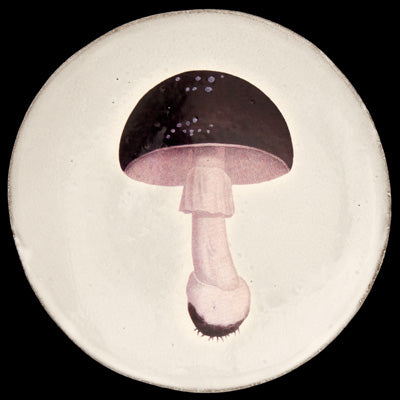 Medium Agaric Fuligineux Plate, John Derian | Astier de Villatte: Exclusive Pre-Order Item