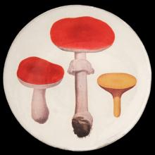 John Derian Red Mushrooms Dinner Plate, set of 6 by Astier de Villatte, B2B view on black background