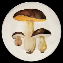 John Derian Bolet Comestible Dinner Plate, set of 6 by Astier de Villatte, B2B view on black background