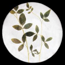 John Derian Medium Jasminum Plate, set of 6 by Astier de Villatte, B2B view on black background