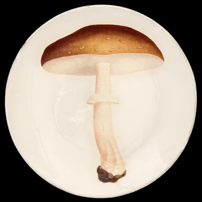 Agaric Blanc Fauve Dinner Plate, John Derian - Astier de Villatte: Exclusive Pre-Order Item