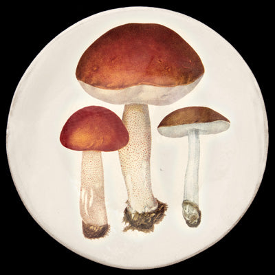 Bolet Rude & Bolet Oronge Dinner Plate, John Derian - Astier de Villatte: Exclusive Pre-Order Item