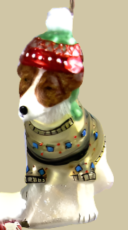 Bundled Up Dog - Terrier
