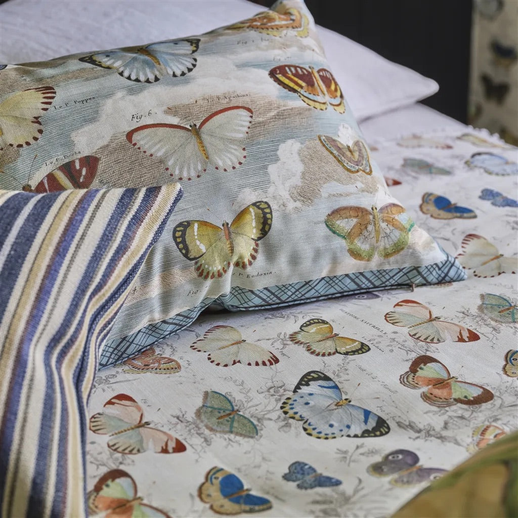 Butterfly Studies - Parchment Cushion - John Derian