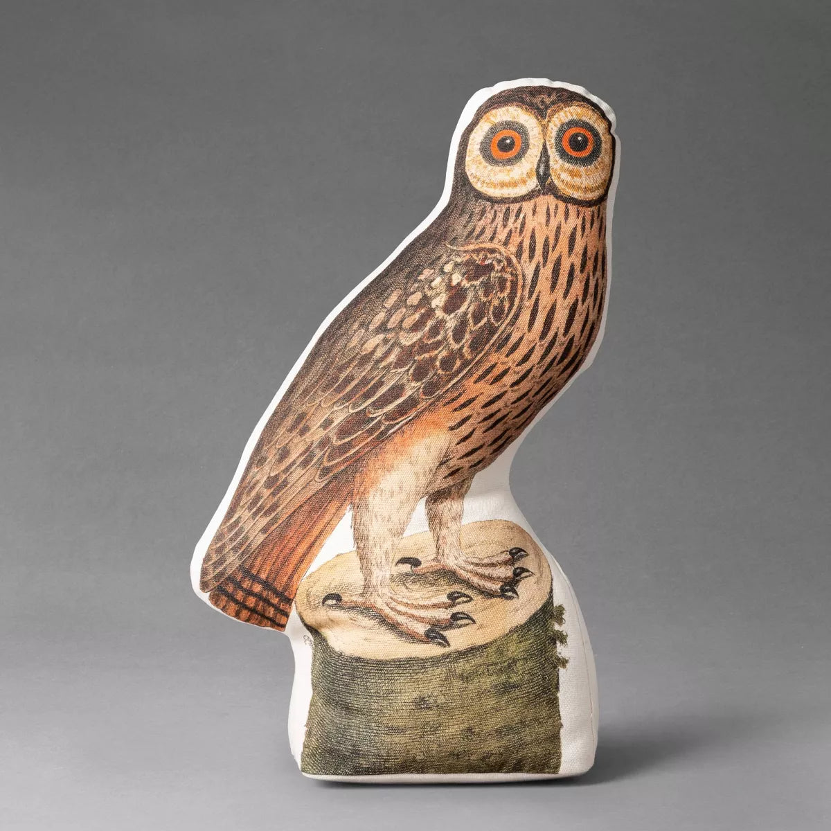 Barn Owl Novelty Plush Pillow - John Derian Company