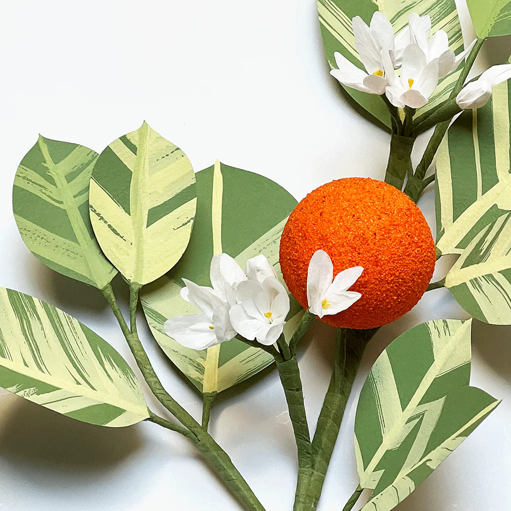 Citrus Branch | The Green Vase