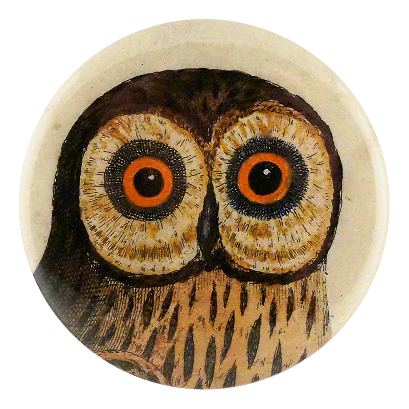 Great Brown Owl - Mirror & Button Pins | John Derian