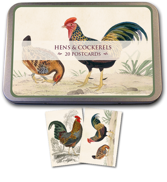 Hens & Cockerels Tin of Postcards  | Skona Ting