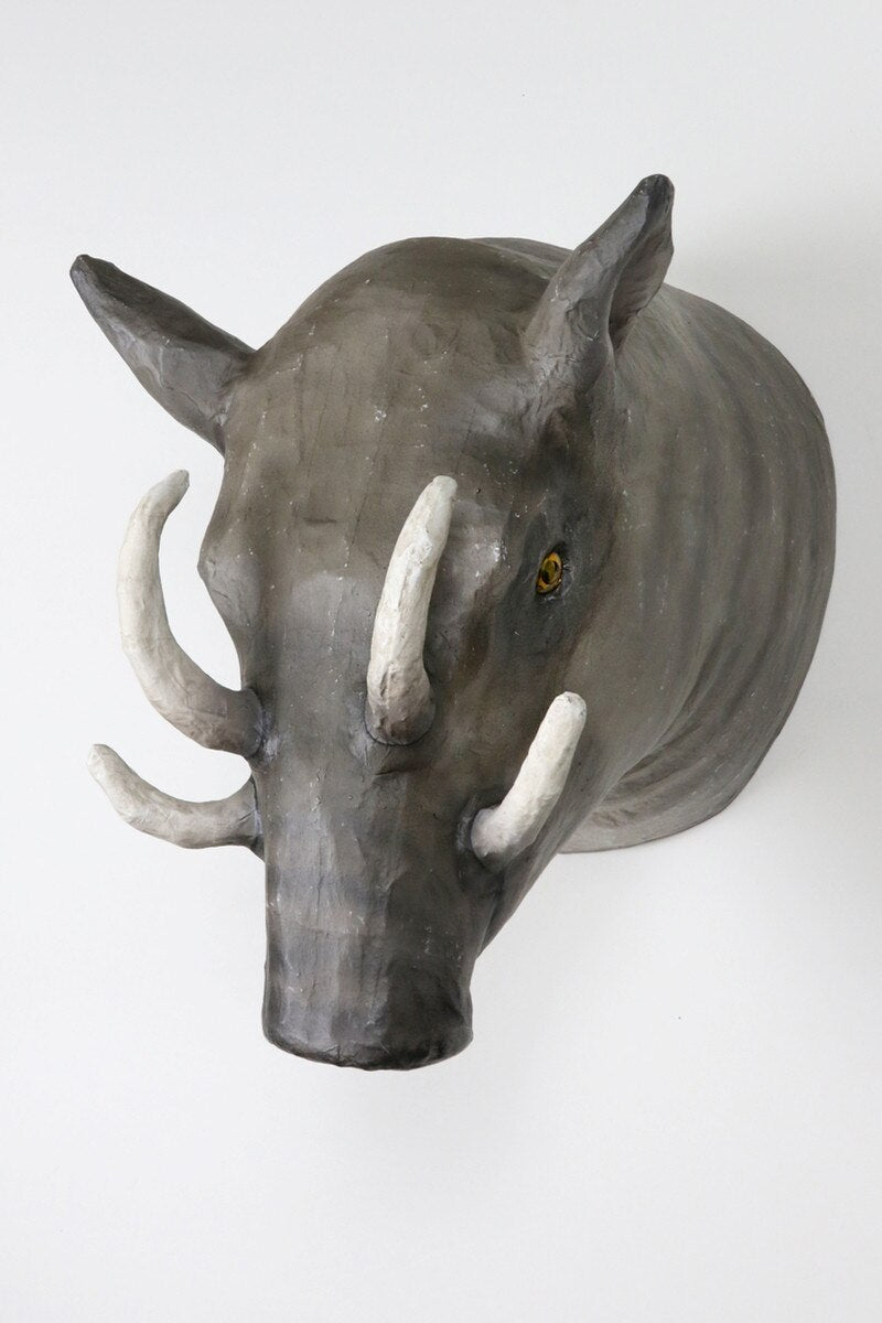 Sulawesi Babirusa Mount - PRE-ORDER