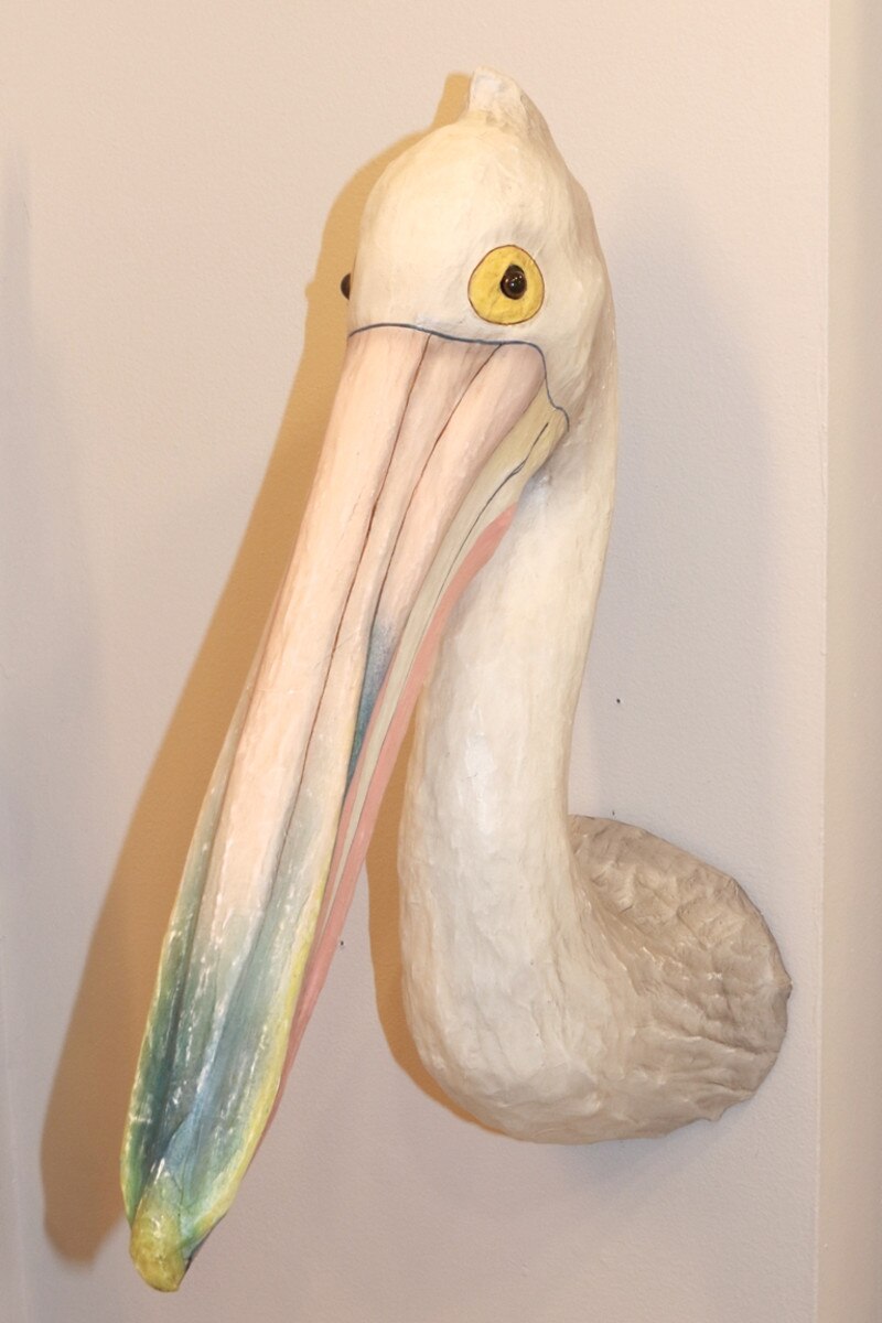Australian Pelican Mount - PRE-ORDER