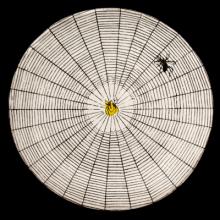 John Derian Small Spider Web Plate by Astier de Villatte, B2B product view