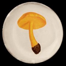 John Derian Small Agaric Couleur de Souffre Plate by Astier de Villatte, B2B product view