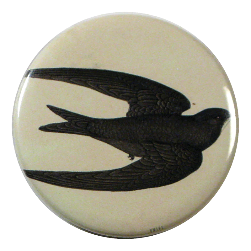 Swift Bird - Mirror & Button Pins | John Derian
