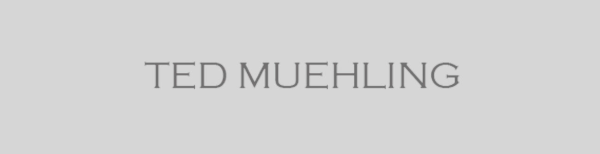 Carnelian Drop Earrings | Ted Muehling