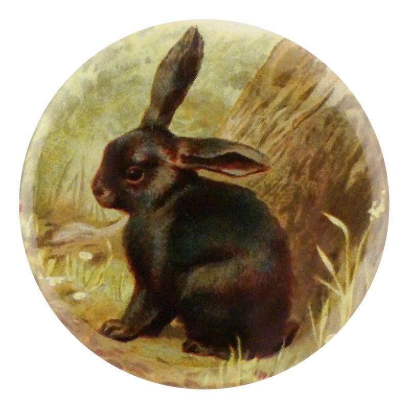 Black Bunny - Mirror & Button Pins | John Derian - Bon Ton goods