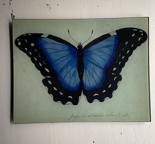Blue Papilio Erector | John Derian - Bon Ton goods