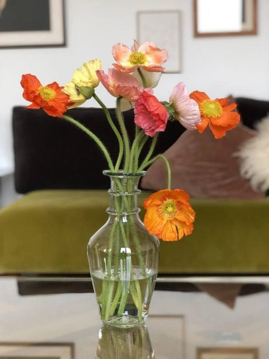 Bourbe - Bon Ton goods