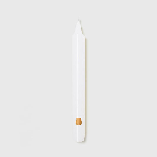 Fir Scented Madeleines - Tapered Candles | Trudon