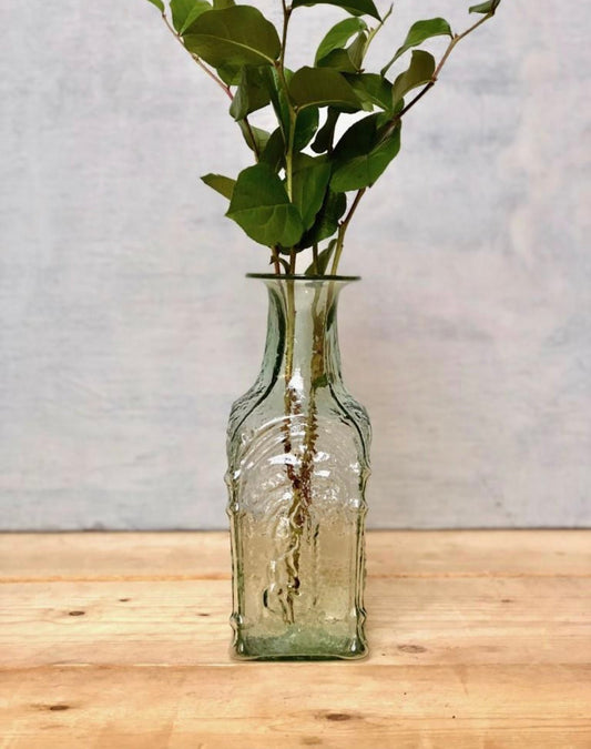 Dates - Bon Ton goods