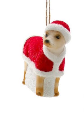 Festive Pup - Santa - Bon Ton goods