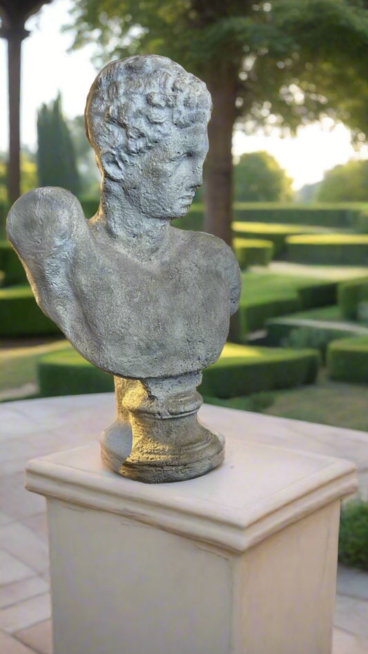 Hermes Bust