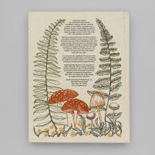 In Stitches: The Enchanted World of Coral & Tusk