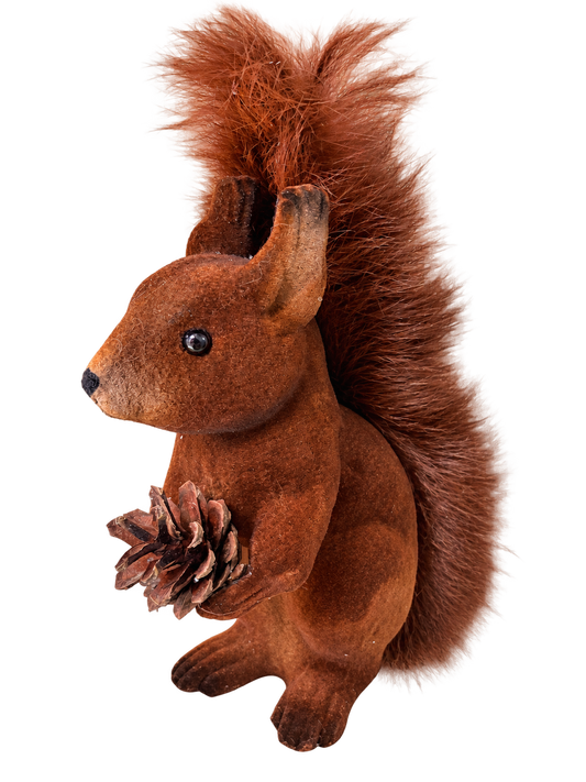 Brown Velvet Squirrel with Pinecone side by Ino Schaller, isolated on a transparent background