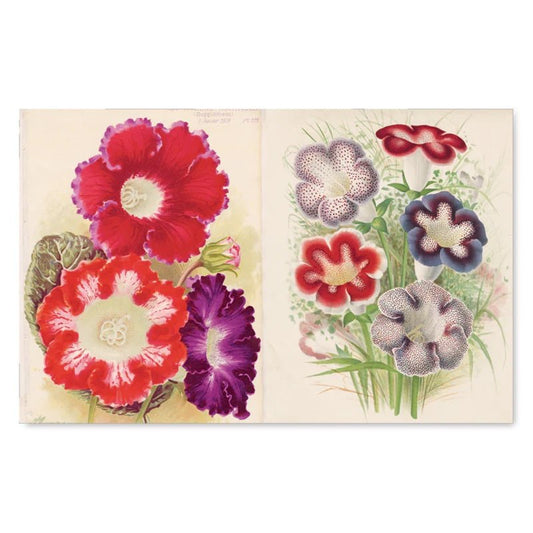 John Derian Picture Book - Bon Ton goods