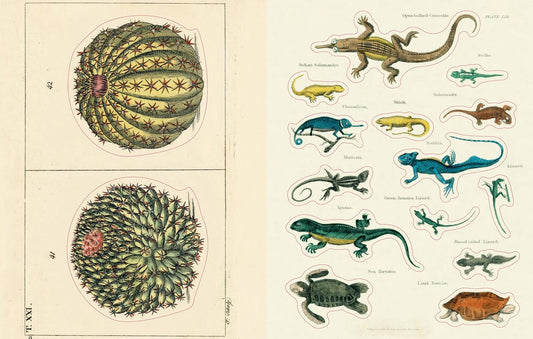 John Derian Sticker Book II