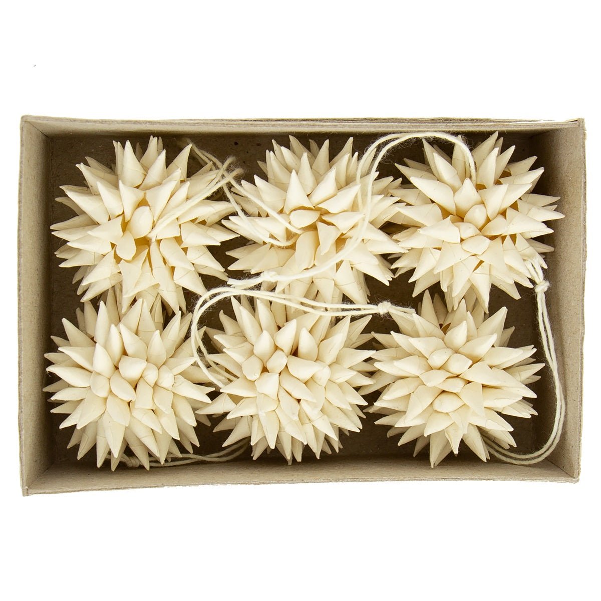 Kotte Mini, Natural, 6 pack - Bon Ton goods
