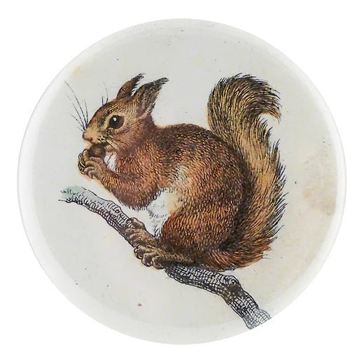 Little Baby Squirrel - Mirror & Button Pins | John Derian - Bon Ton goods