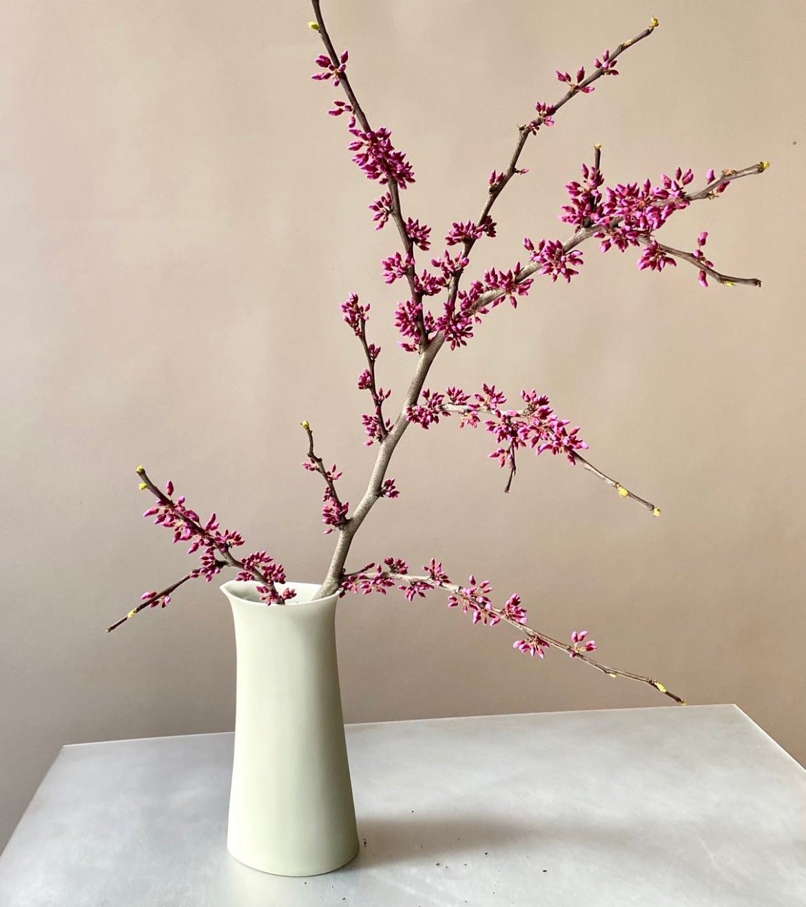 Milk and Creamer Pitcher Set - Bon Ton goods