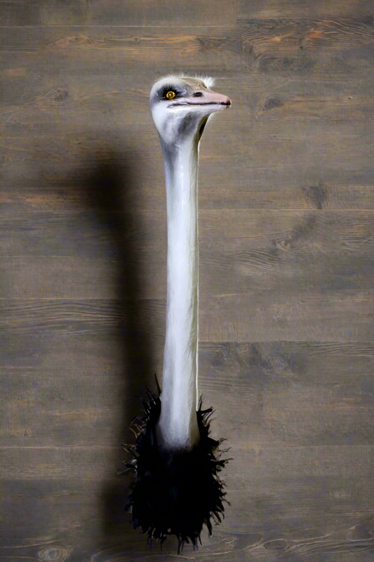 Ostrich Mount
