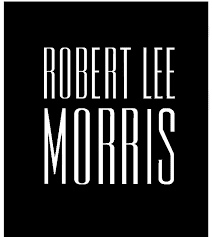 Sculptural Hoop Earrings III | Robert Lee Morris - Bon Ton goods