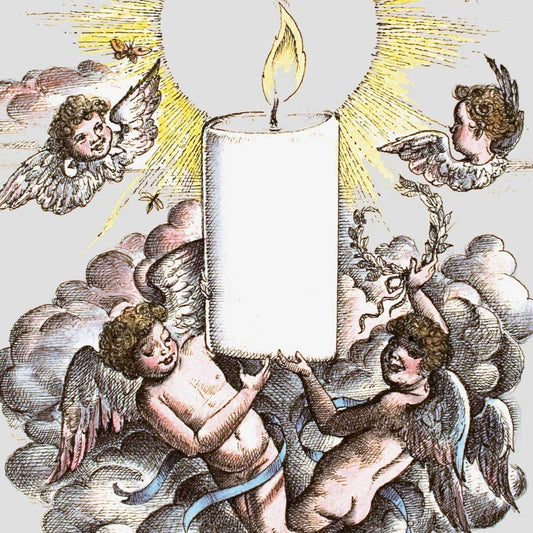 Spiritus Sancti - Bon Ton goods