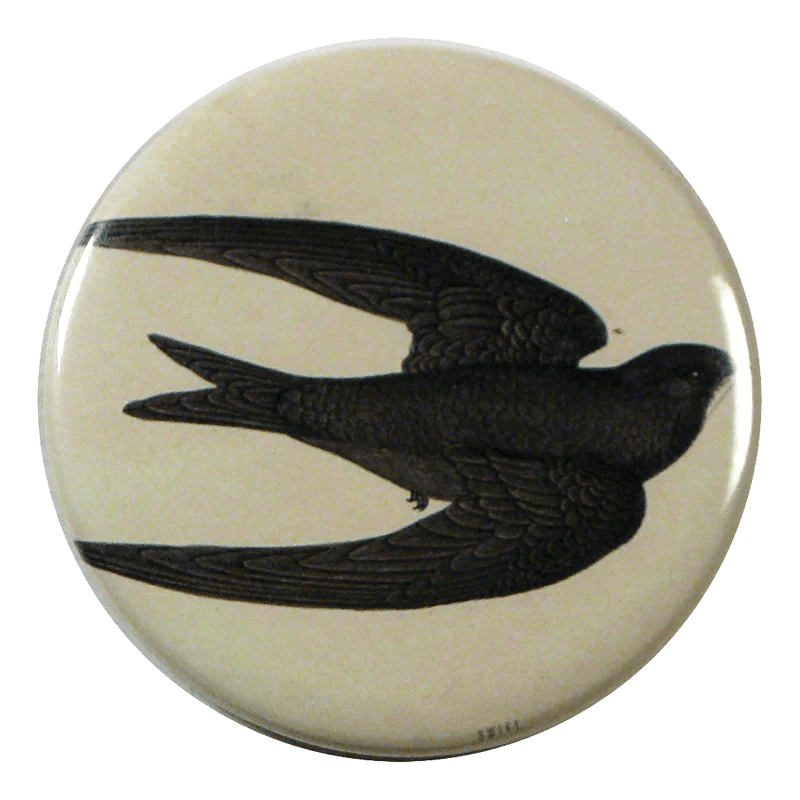 Swift Bird - Mirror & Button Pins | John Derian - Bon Ton goods