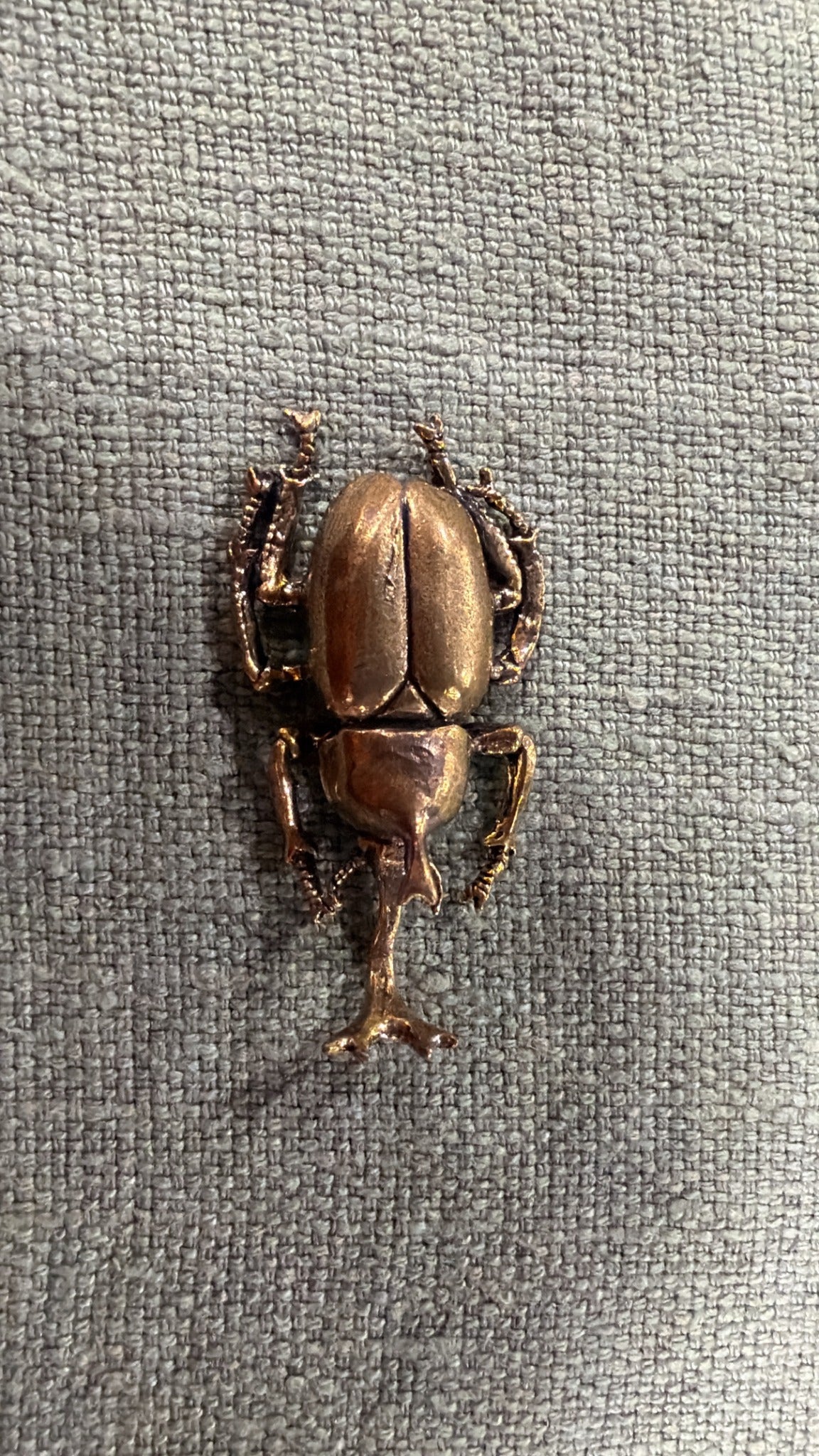 Vintage French brass beetle, 6 cm, with modelled legs and divided wing case
