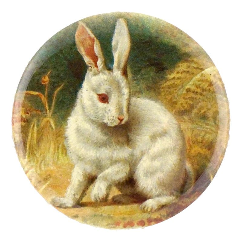 White Bunny - Mirror & Button Pins | John Derian - Bon Ton goods