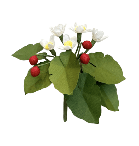 Wild Strawberries | The Green Vase - Bon Ton goods
