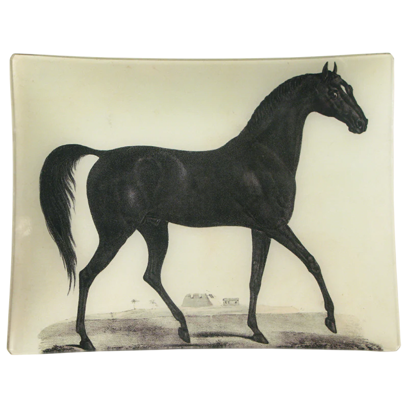 Arabian Horse - John Derian Company