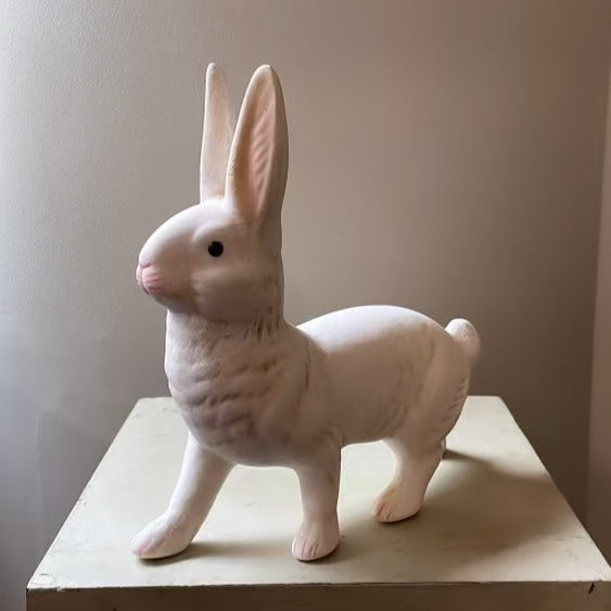 White Bunny Walking | Ino Schaller